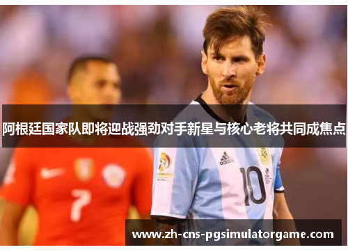 阿根廷国家队即将迎战强劲对手新星与核心老将共同成焦点