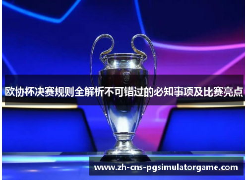欧协杯决赛规则全解析不可错过的必知事项及比赛亮点