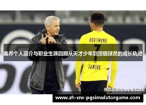 桑乔个人简介与职业生涯回顾从天才少年到顶级球员的成长轨迹