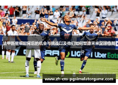 法甲新星崛起背后的机会与挑战以及他们如何塑造未来足球格局