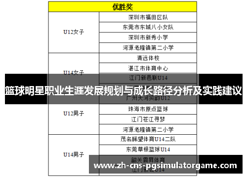 篮球明星职业生涯发展规划与成长路径分析及实践建议
